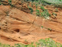 Dawlish Cliffs